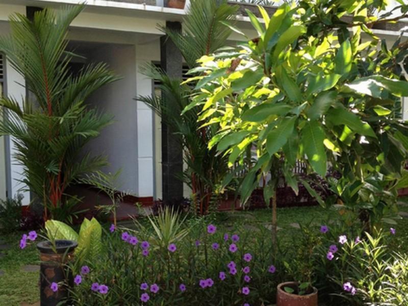Mango Guesthouse Pangandaran Exterior foto